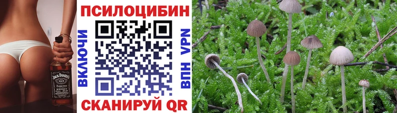 Псилоцибиновые грибы GOLDEN TEACHER  где купить наркоту  Чита 