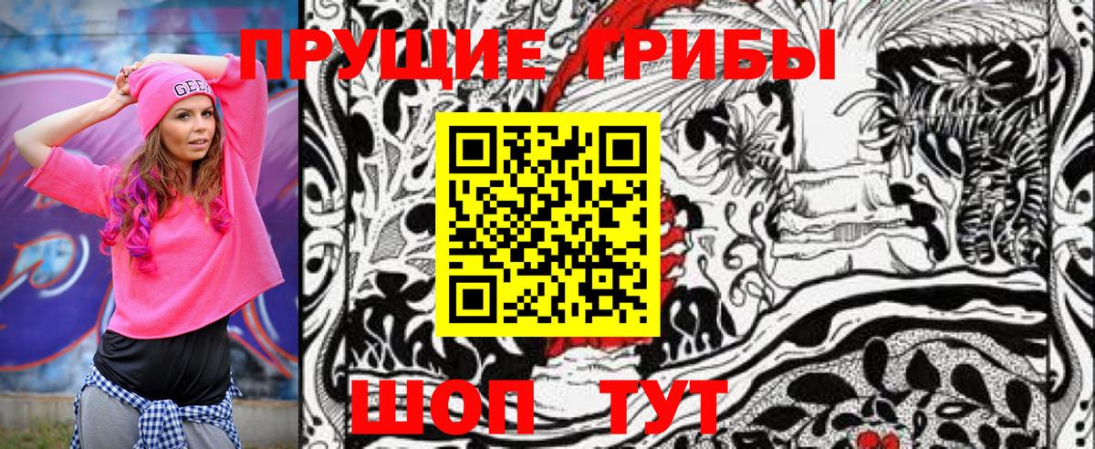 Псилоцибиновые грибы Psilocybine cubensis  купить   Чита  Вход с VPN 