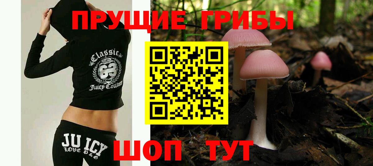 Псилоцибиновые грибы Psilocybe Чита