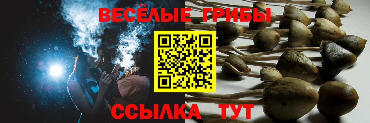  COCAIN Чита